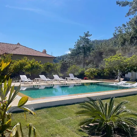 Big With Pool In *