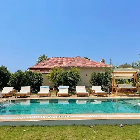 Big With Pool In Villa *