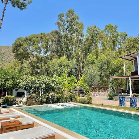 Villa Big With Pool In *