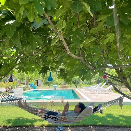 Big With Pool In